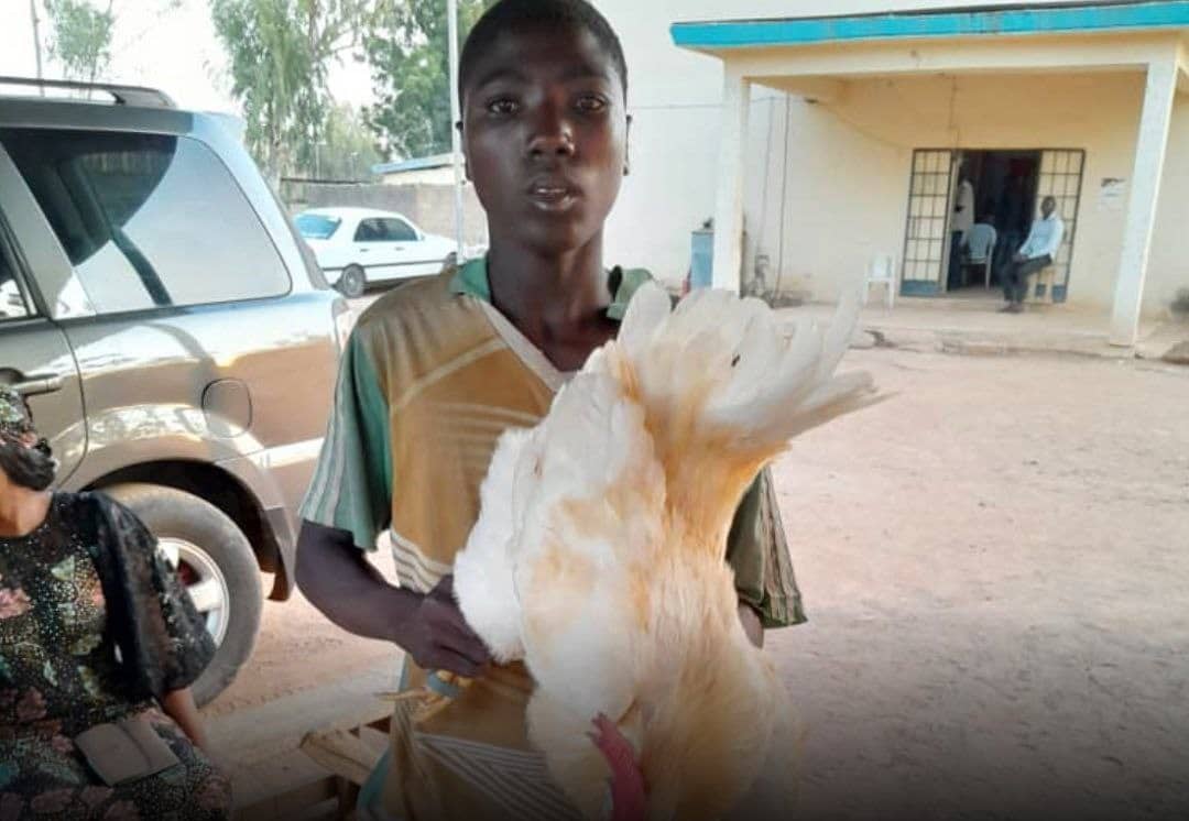 Young man arrested for having sex with a male chicken