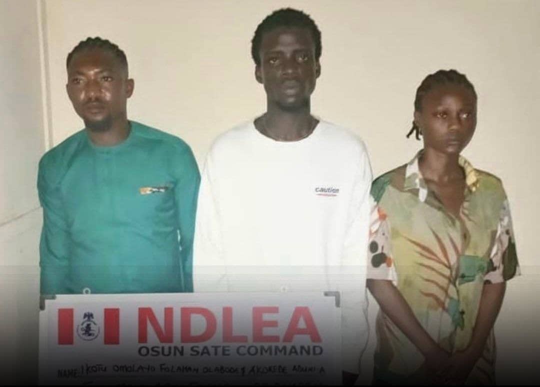 NDLEA arrests youth who organized drug party in Osogbo