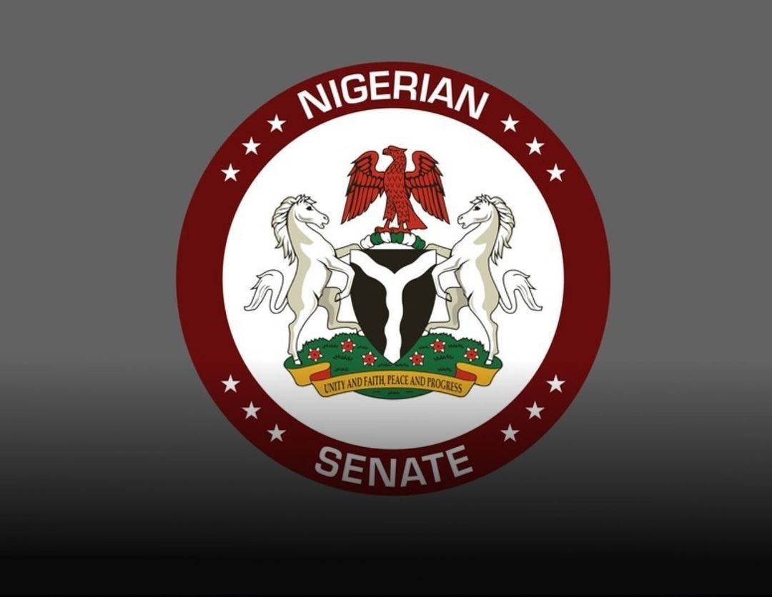 Senate amends NDLEA act, approves death sentence for drug offenders