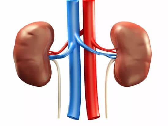 Signs that indicates you have kidney stone disease
