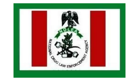 NDLEA arrests Nigerien with illicit drugs concealed in pesticide tanks
