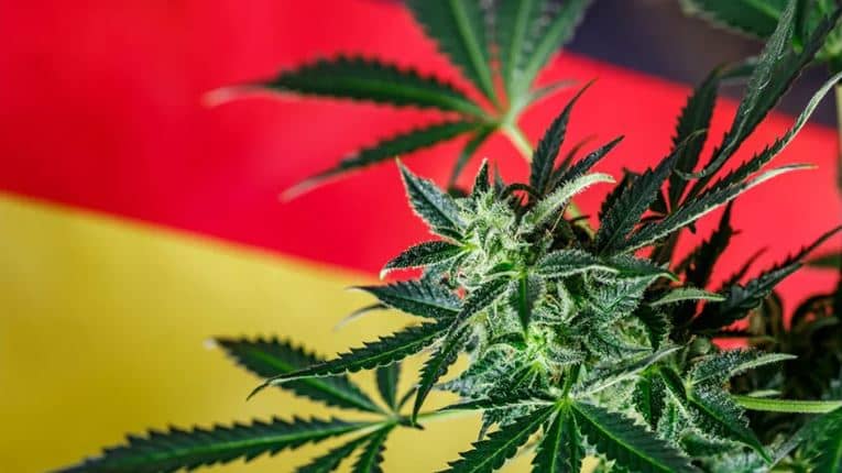 Germany passed law to legalize cannabis