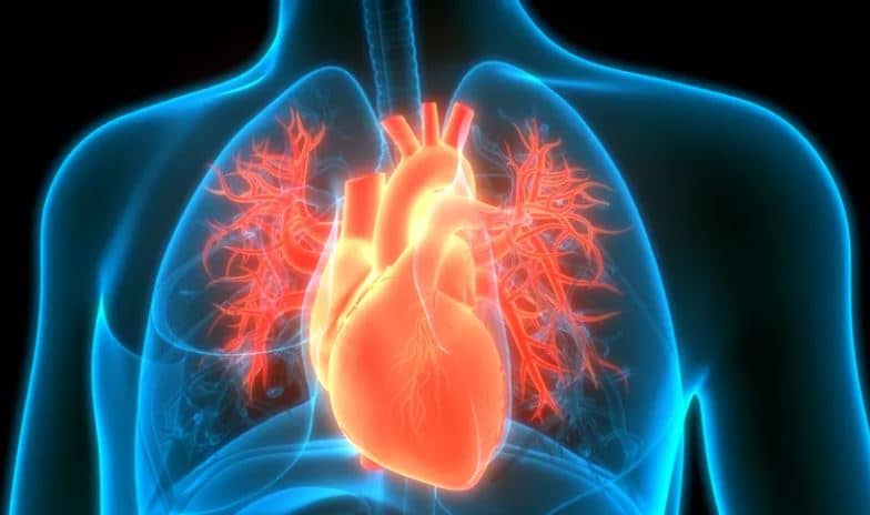 Signs that indicates heart failure that you should know